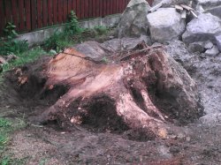 jasan o průměru 170 cm